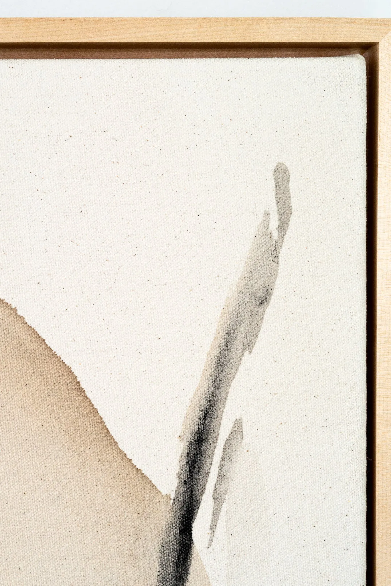 Forest Ashes, photo 6