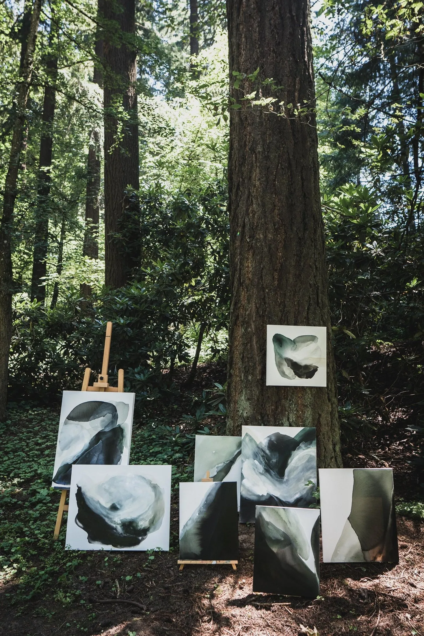 Sound of the Creek, photo 5