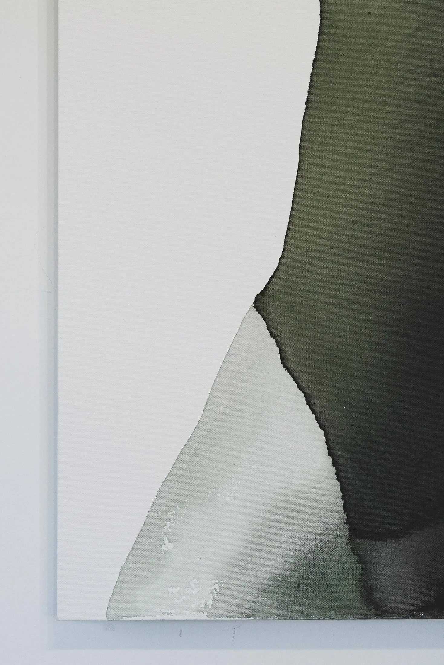 New Growth, photo 3