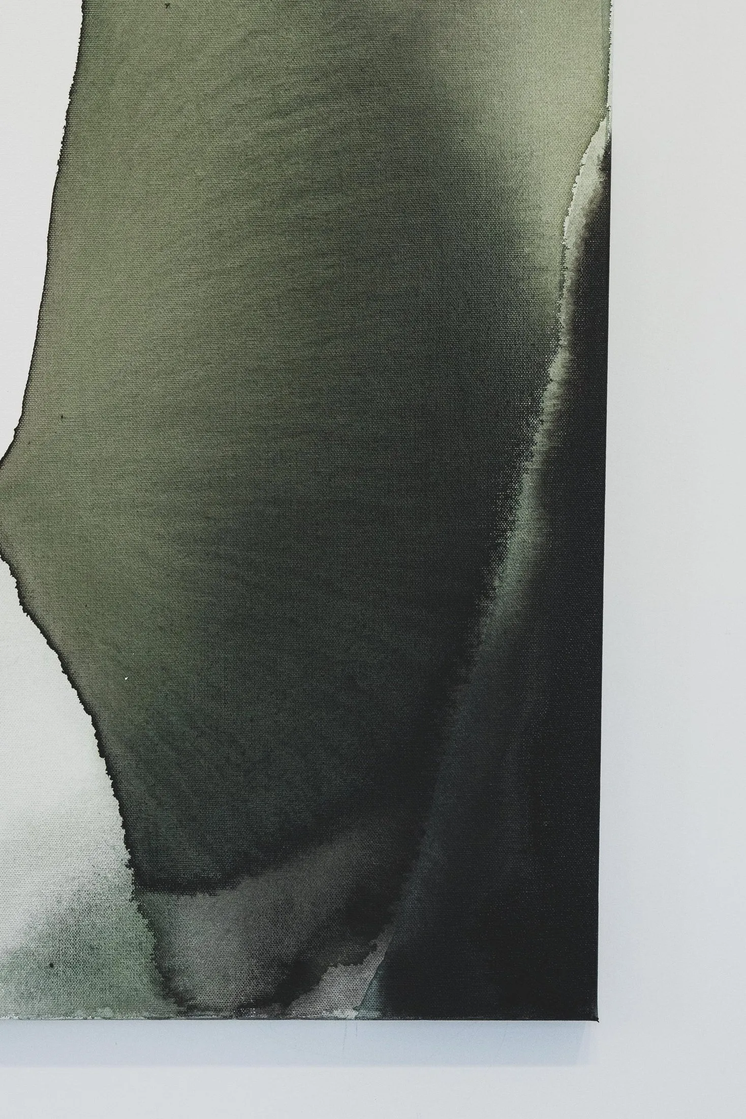 New Growth, photo 5