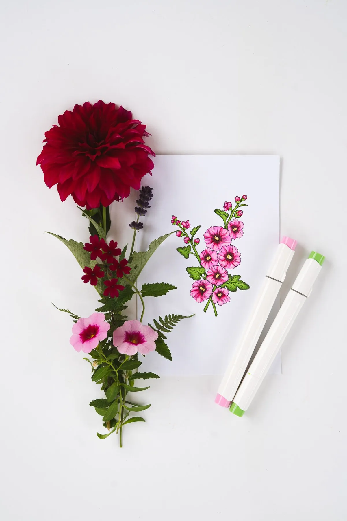 Colored hollyhock illustration with a dahlia, sweet peas and alcohol markers