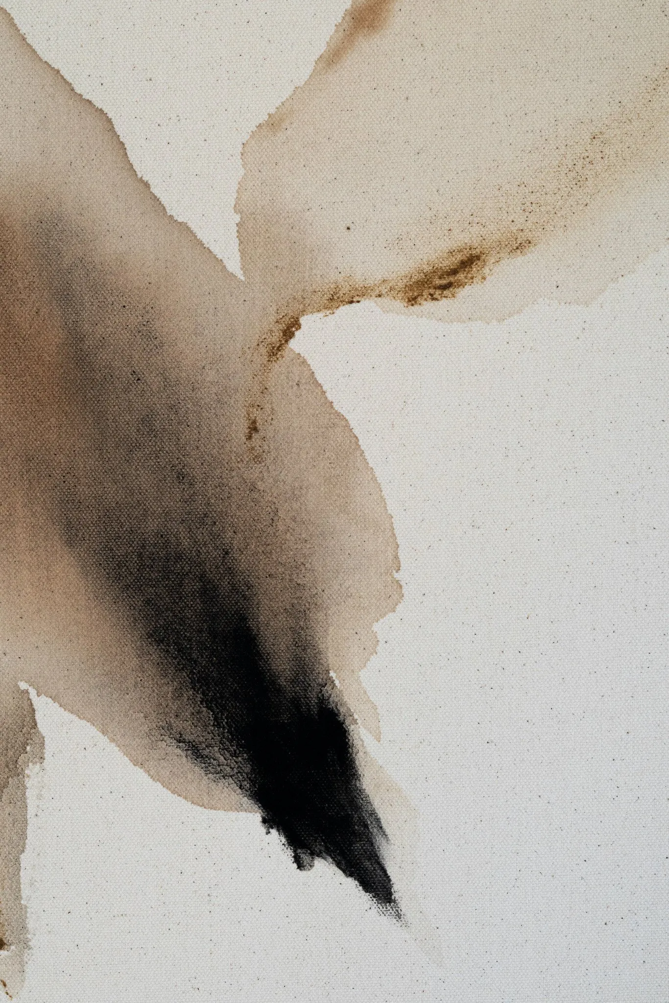 Terra Chromata, photo 3